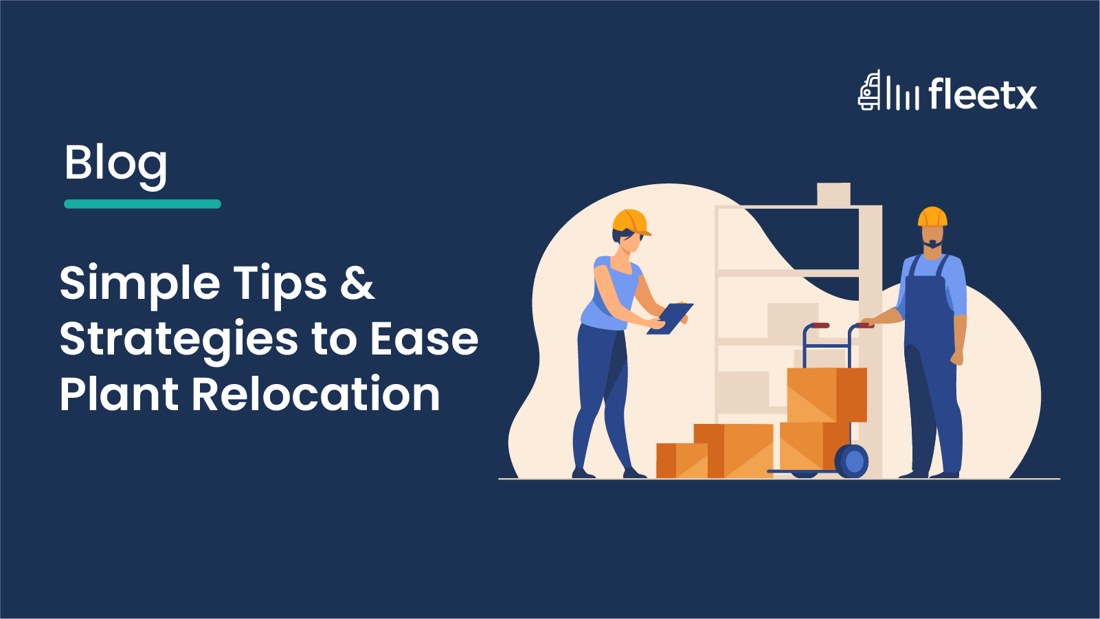 Simple Tips & Strategies to Ease Plant Relocation